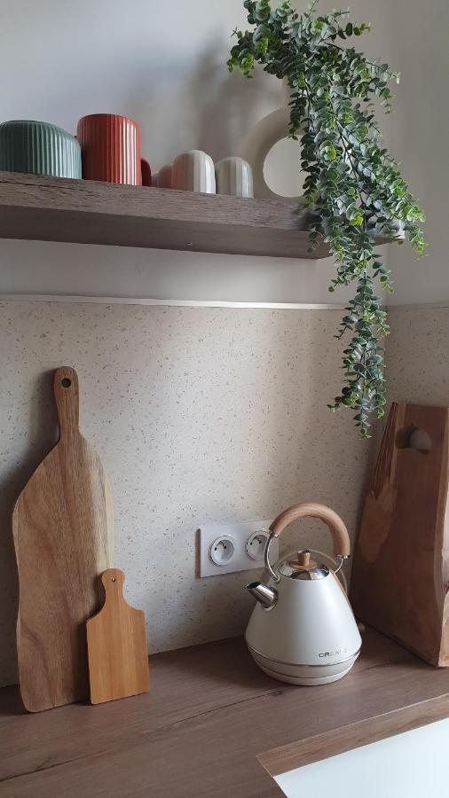 Appartement Au Calme T3 Rdc - Quartier De France Vichy Extérieur photo